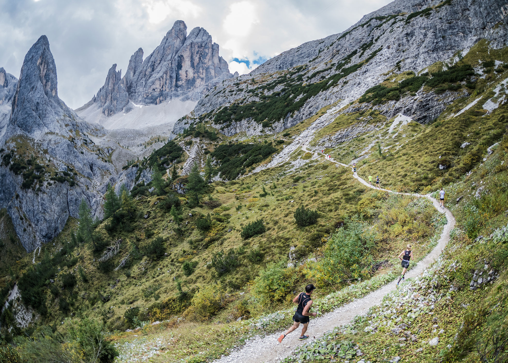 Knapp über der Waldgrenze